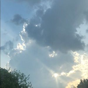 Meet your Posher, Marlie